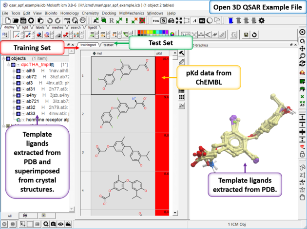 ICM User's Guide: 3D QSAR Tutorial