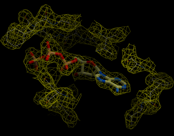 ICM User's Guide: Crystallographic Analysis