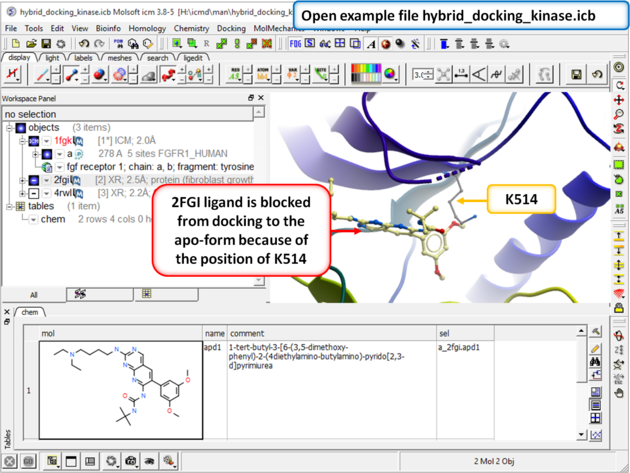 ICM User's Guide: Induced Fit (Flexibility) Docking Tutorials